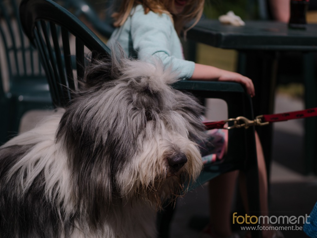 Fotomoment (c) Thierry Botten
