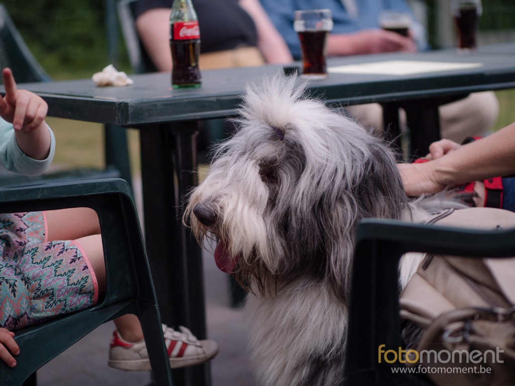 Fotomoment (c) Thierry Botten
