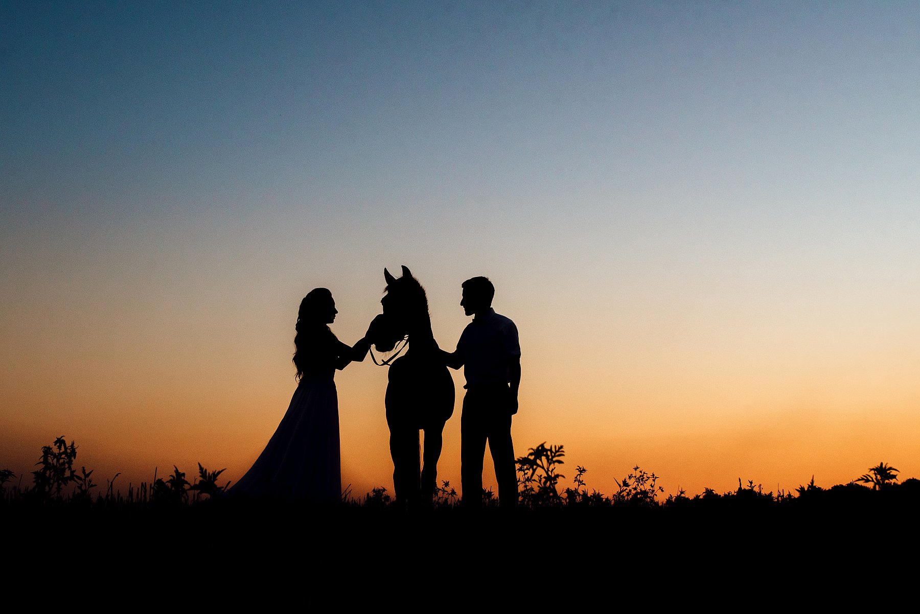 Paardenfotograaf - Photographe équestre